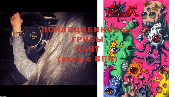 дживик Белоозёрский